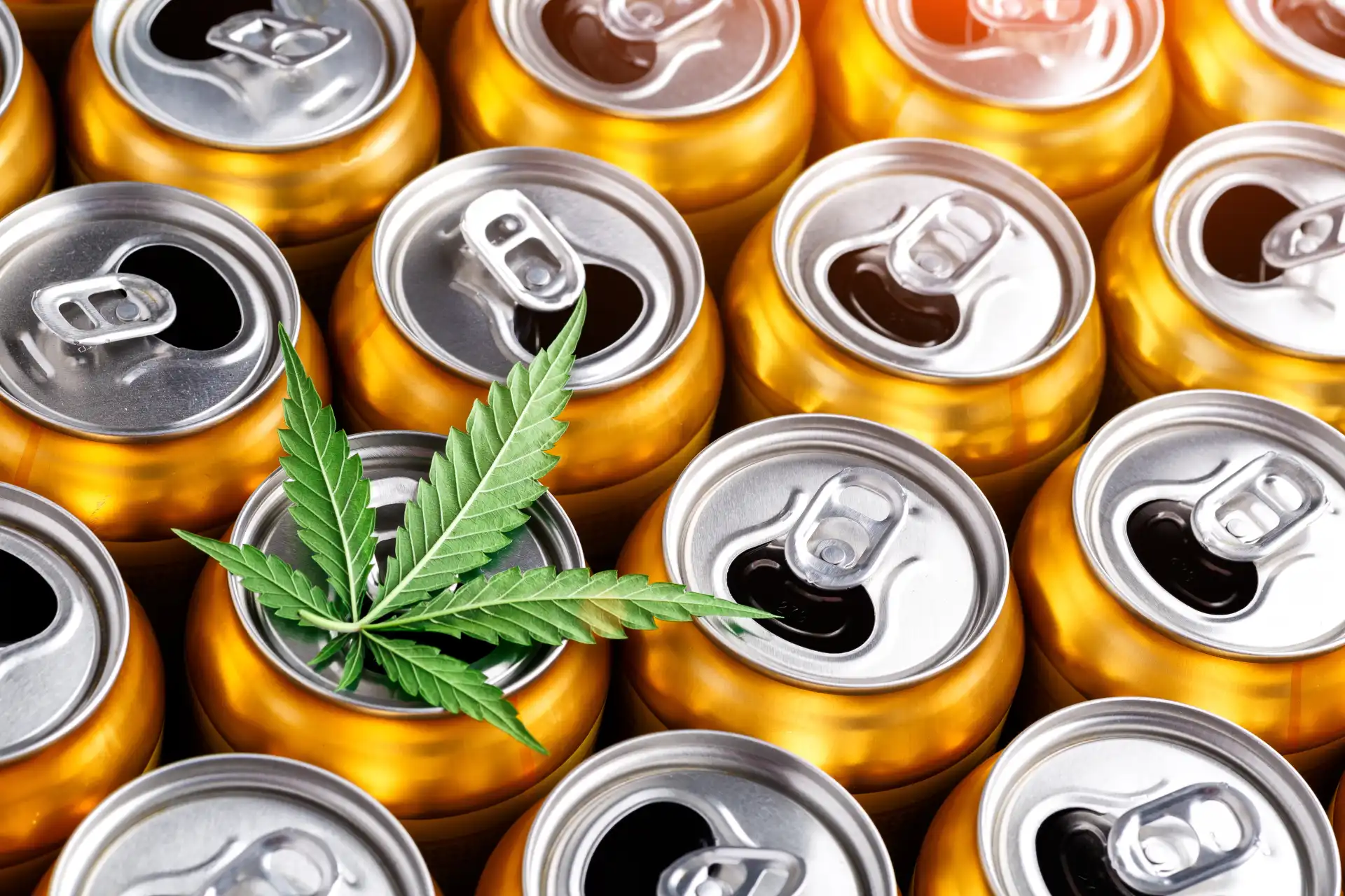 Cannabis infused beverage cans