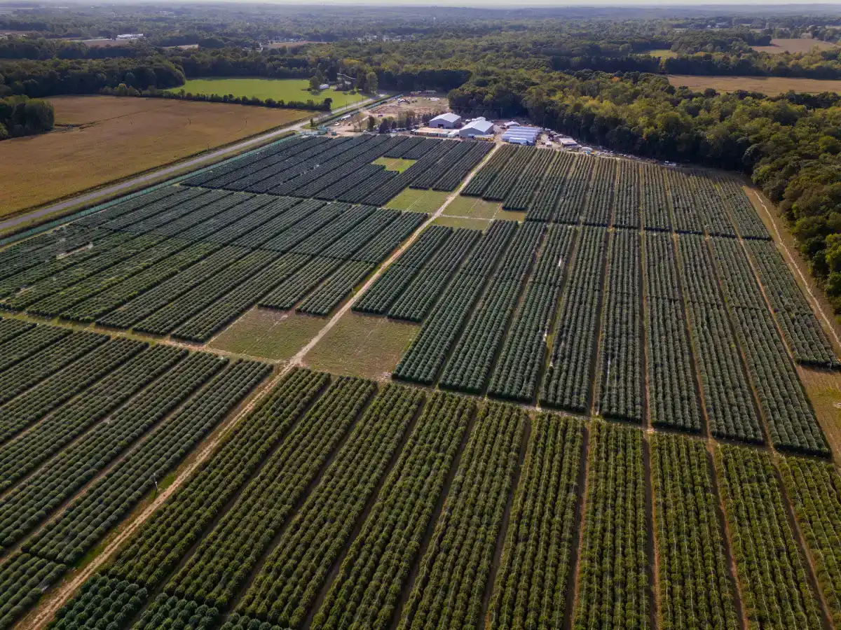 michigan field